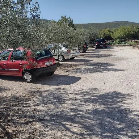 Πανσιόν Kalauz 3*