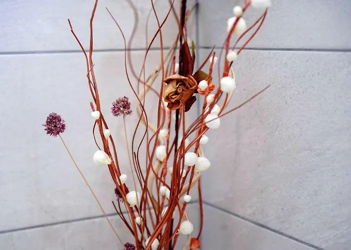 Kalauz Guest house 3*